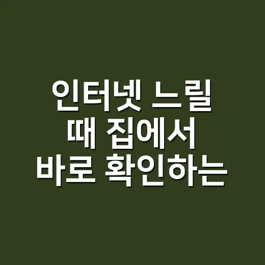 인터넷 느릴 때 집에서 바로 확인하는 방법 - 요약