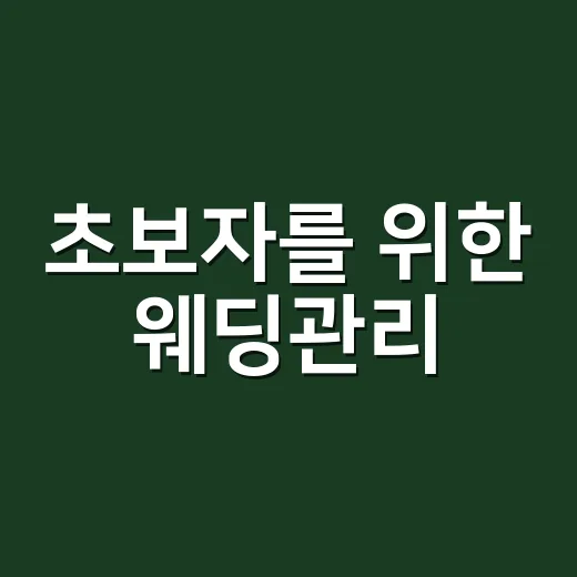 초보자를 위한 웨딩관리, 예산부터 일정까지 챙기는 방법 - 요약