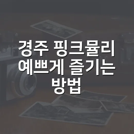 경주 핑크뮬리 예쁘게 즐기는 방법 - 요약