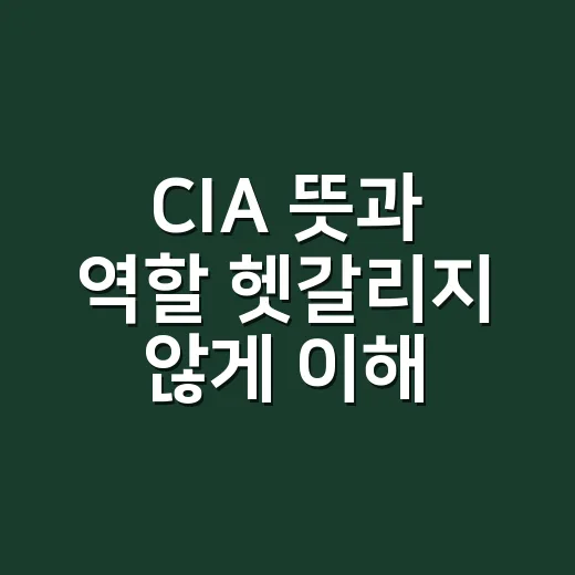 CIA 뜻과 역할 헷갈리지 않게 이해하는 방법 - 요약