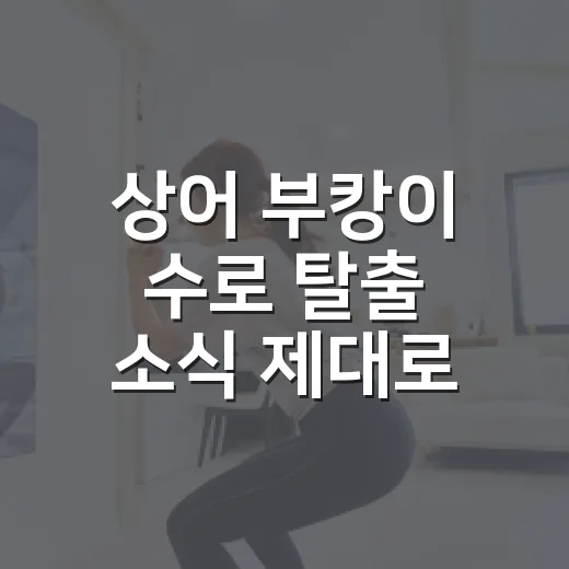 상어 부캉이 수로 탈출 소식 제대로 읽는 방법 - 요약
