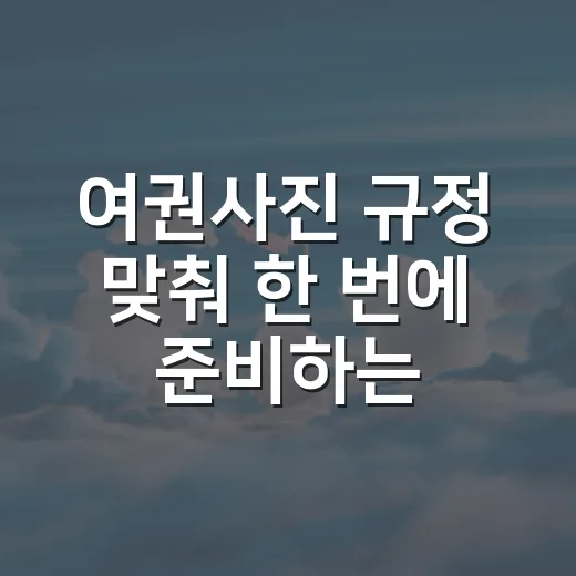 여권사진 규정 맞춰 한 번에 준비하는 방법 - 요약