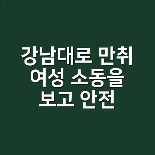 강남대로 만취 여성 소동을 보고 안전하게 신고하는 방법 - 요약