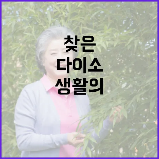 다이소 코엑스몰점에서 찾은 생활의 작은 행복