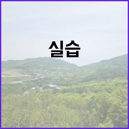 벙커로니가 진화했다!? 무나 교수님의 크로니 학생 1…1 특별 실습 완료!