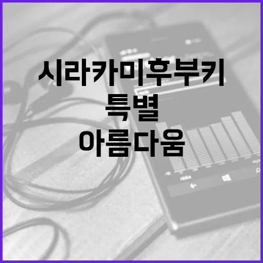 즉흥의 아름다움! 시라카미 후부키의 특별한 곡誕생