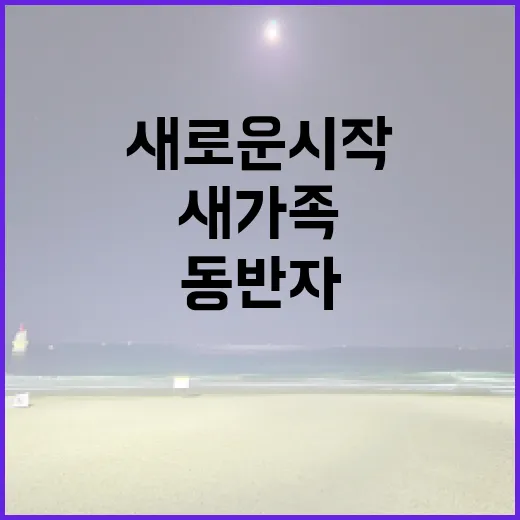새가족 안내 – 새로운 시작을 함께하는 교회의 동반자