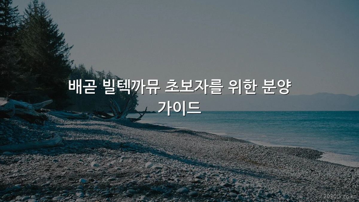 배곧 빌텍까뮤 초보자를 위한 분양 가이드