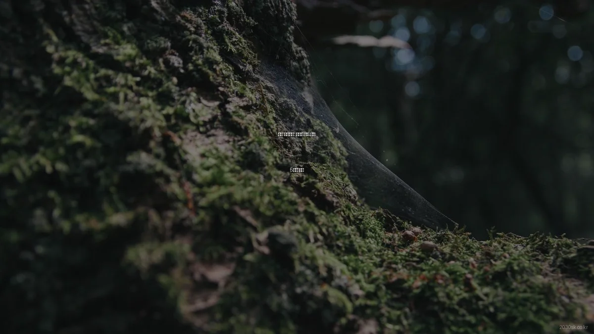 배곧 빌텍까뮤: 숨겨진 활용 꿀팁 5가지 공개