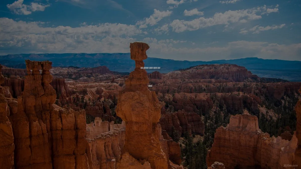 배곧 빌텍까뮤 숨겨진 활용법 꿀팁 대방출