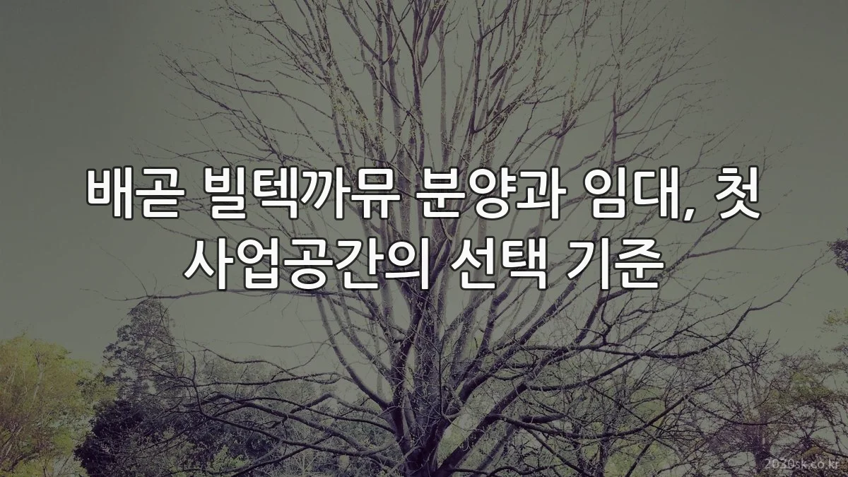 배곧 빌텍까뮤 분양과 임대, 첫 사업공간의 선택 기준