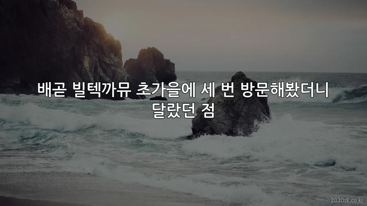 배곧 빌텍까뮤 초가을에 세 번 방문해봤더니 달랐던 점