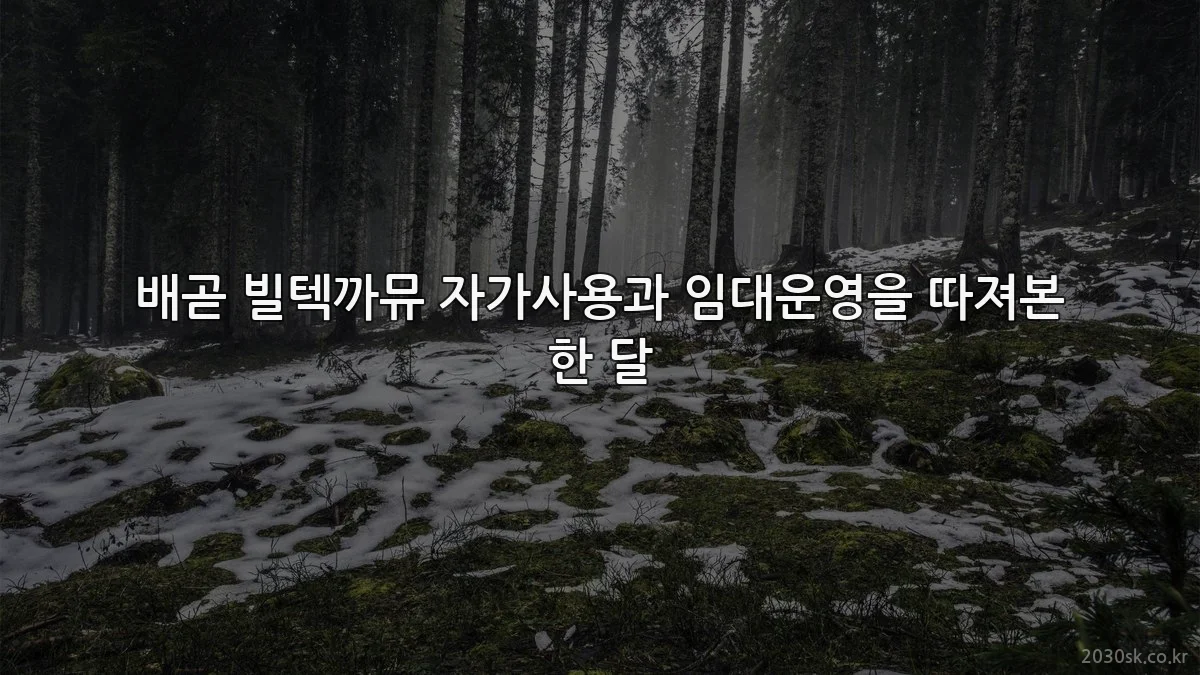 배곧 빌텍까뮤 자가사용과 임대운영을 따져본 한 달