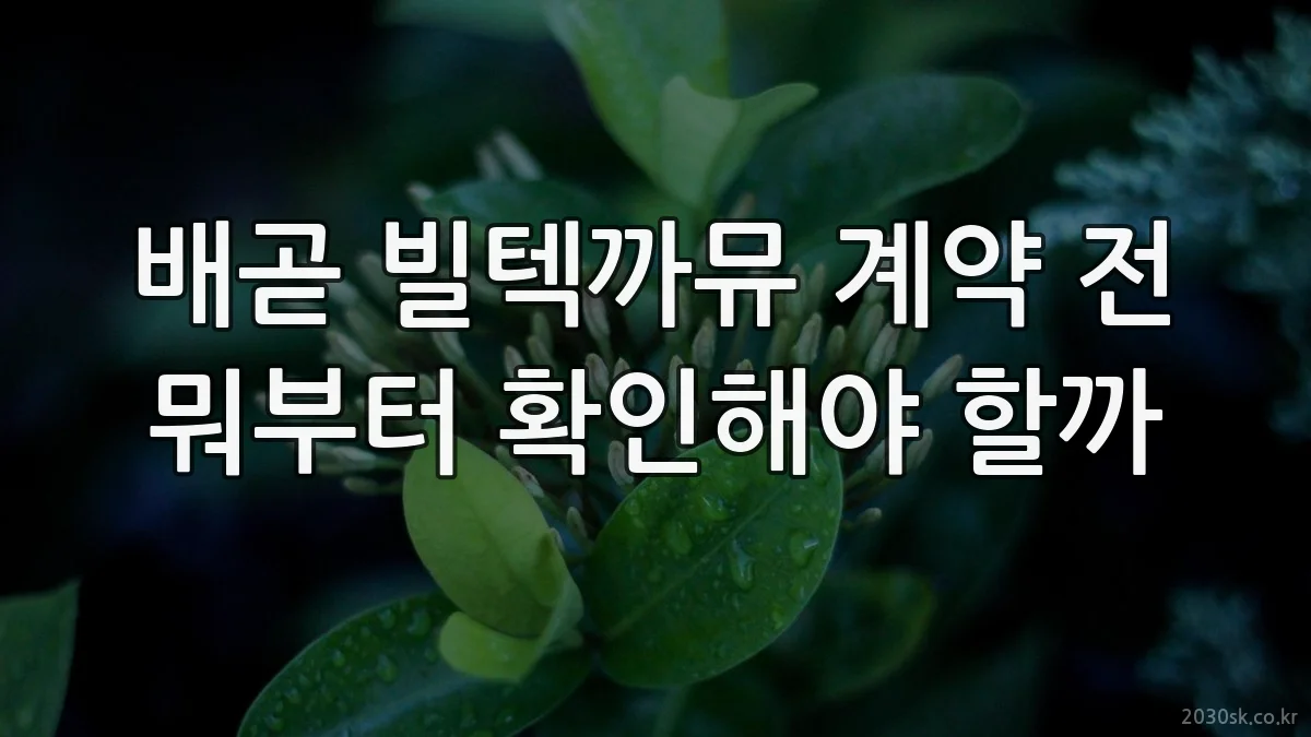 배곧 빌텍까뮤 계약 전 뭐부터 확인해야 할까