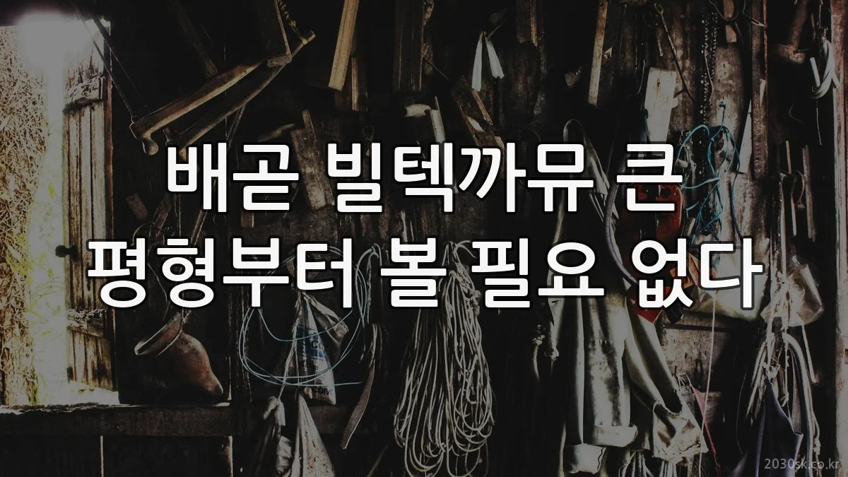 배곧 빌텍까뮤 큰 평형부터 볼 필요 없다