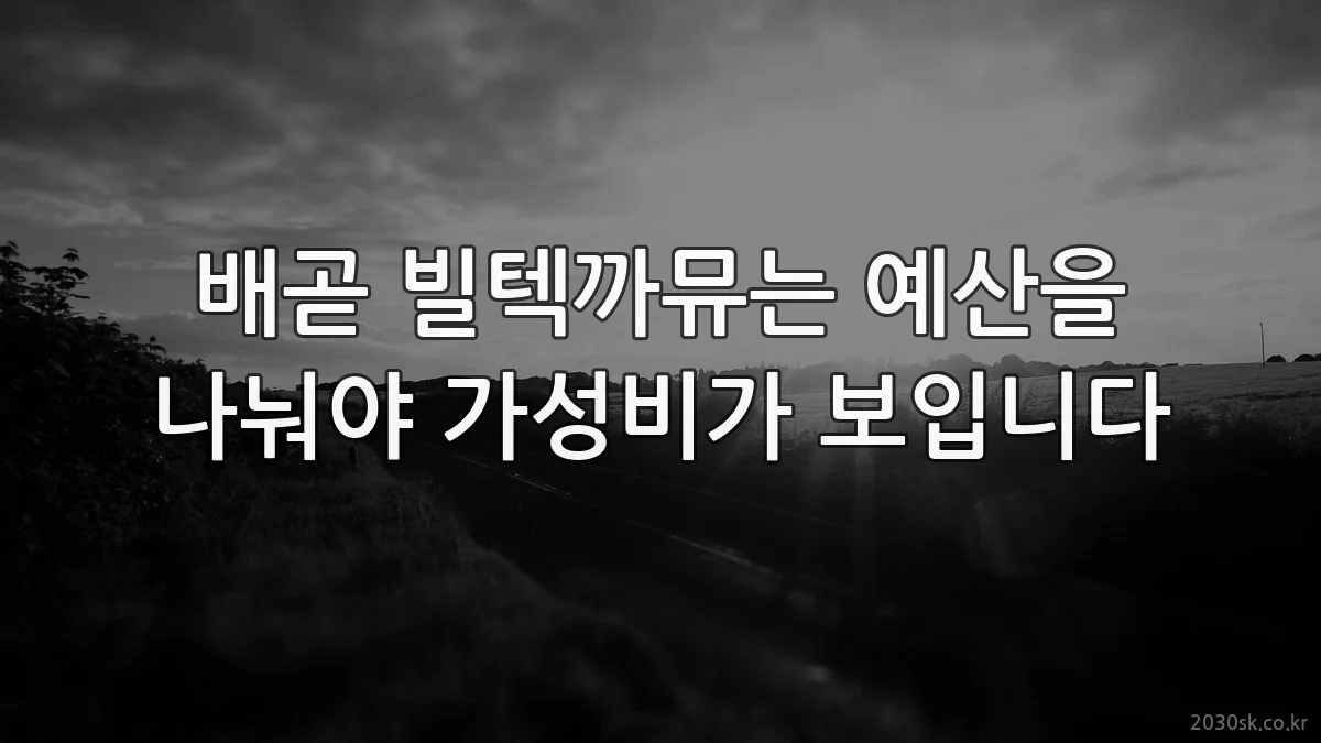 배곧 빌텍까뮤는 예산을 나눠야 가성비가 보입니다
