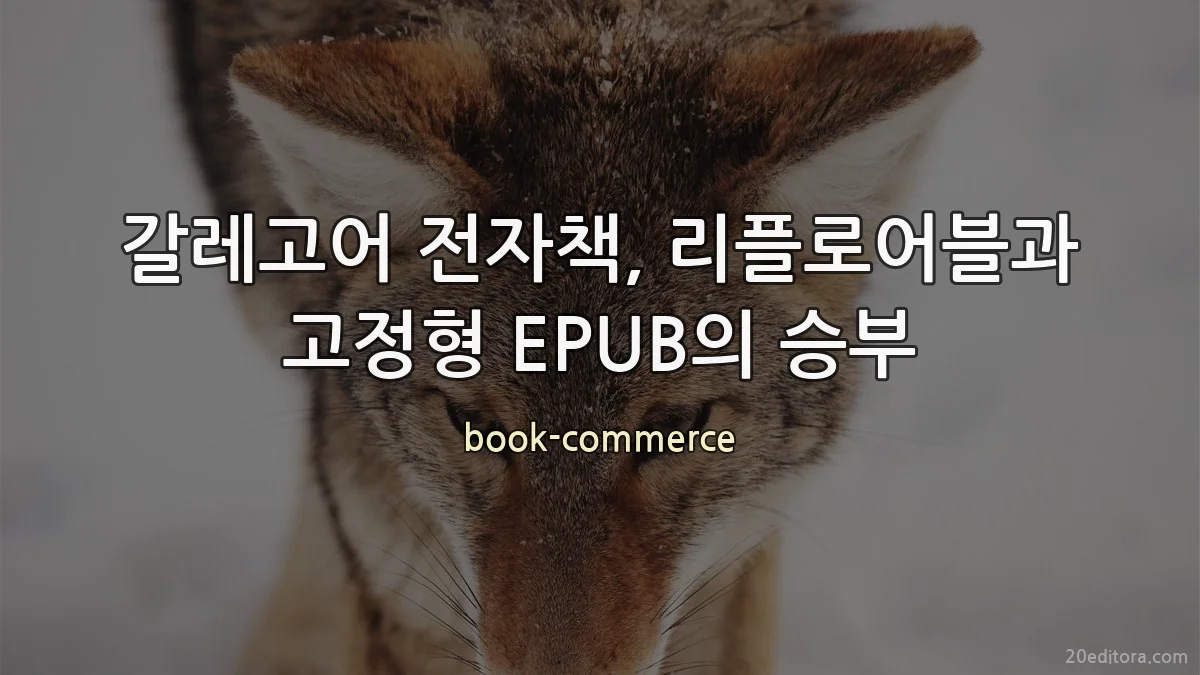 갈레고어 전자책, 리플로어블과 고정형 EPUB의 승부
