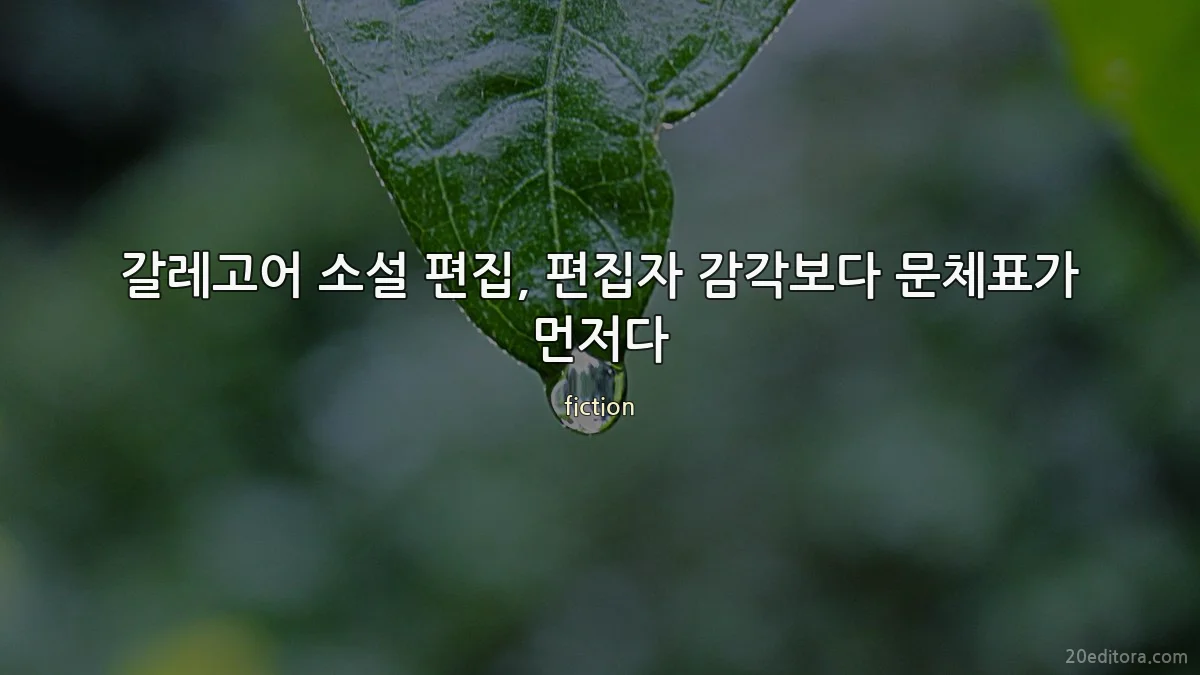 갈레고어 소설 편집, 편집자 감각보다 문체표가 먼저다