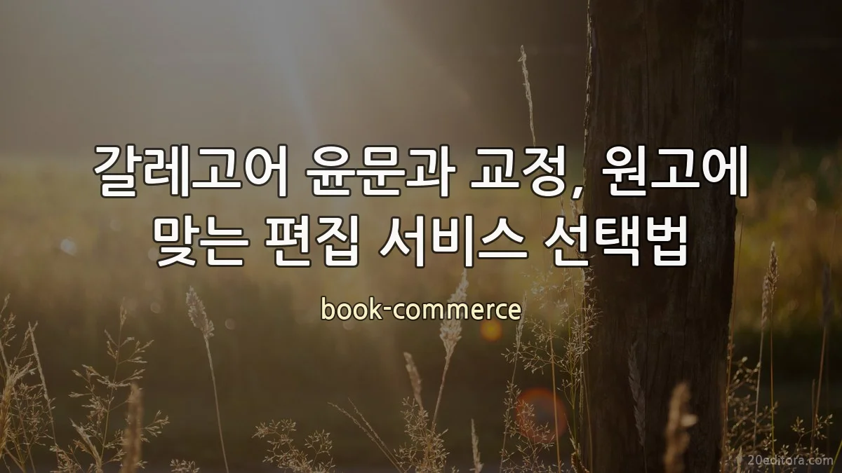 갈레고어 윤문과 교정, 원고에 맞는 편집 서비스 선택법