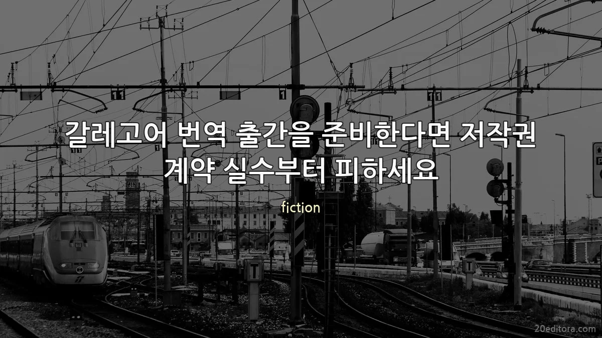 갈레고어 번역 출간을 준비한다면 저작권 계약 실수부터 피하세요