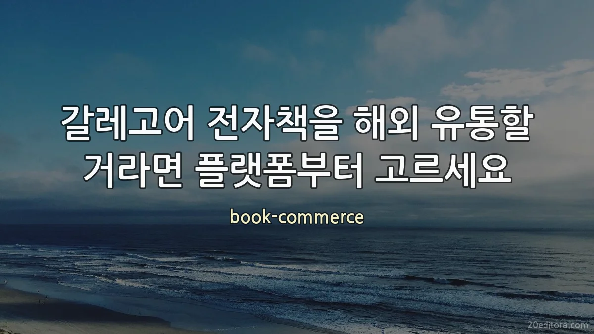 갈레고어 전자책을 해외 유통할 거라면 플랫폼부터 고르세요