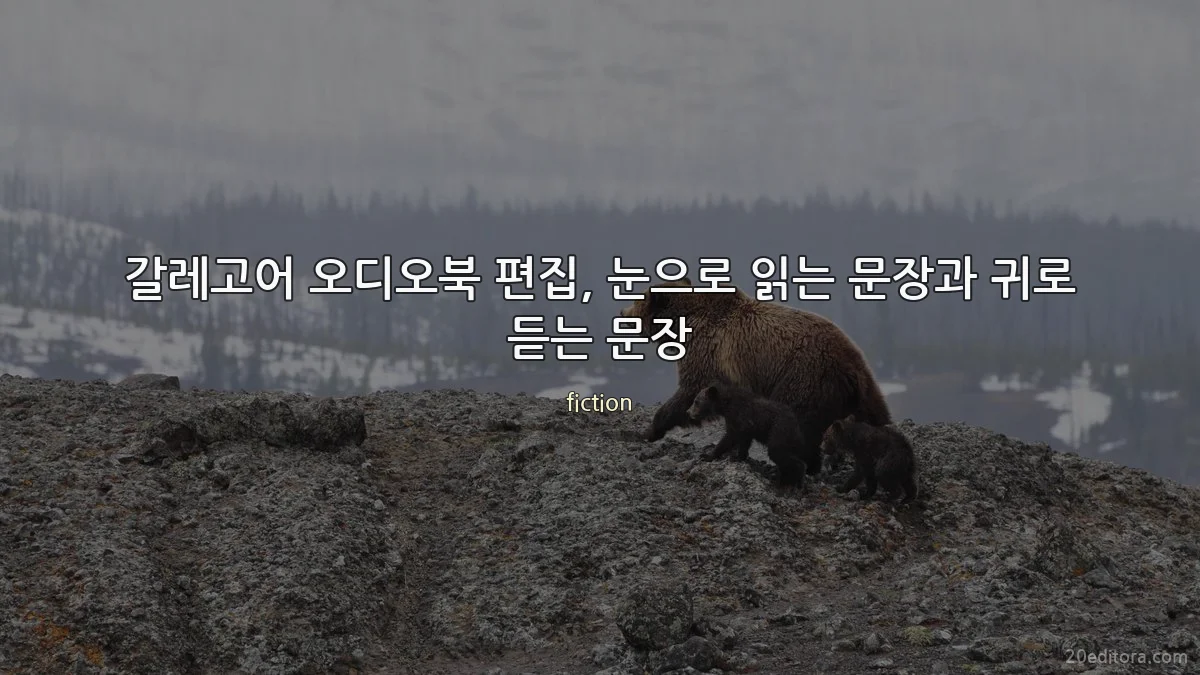 갈레고어 오디오북 편집, 눈으로 읽는 문장과 귀로 듣는 문장