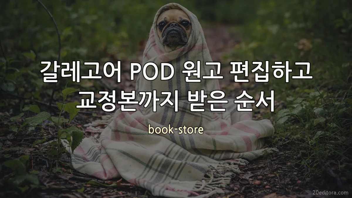 갈레고어 POD 원고 편집하고 교정본까지 받은 순서