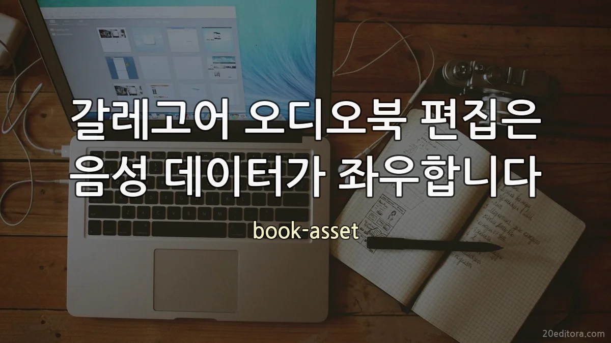 갈레고어 오디오북 편집은 음성 데이터가 좌우합니다
