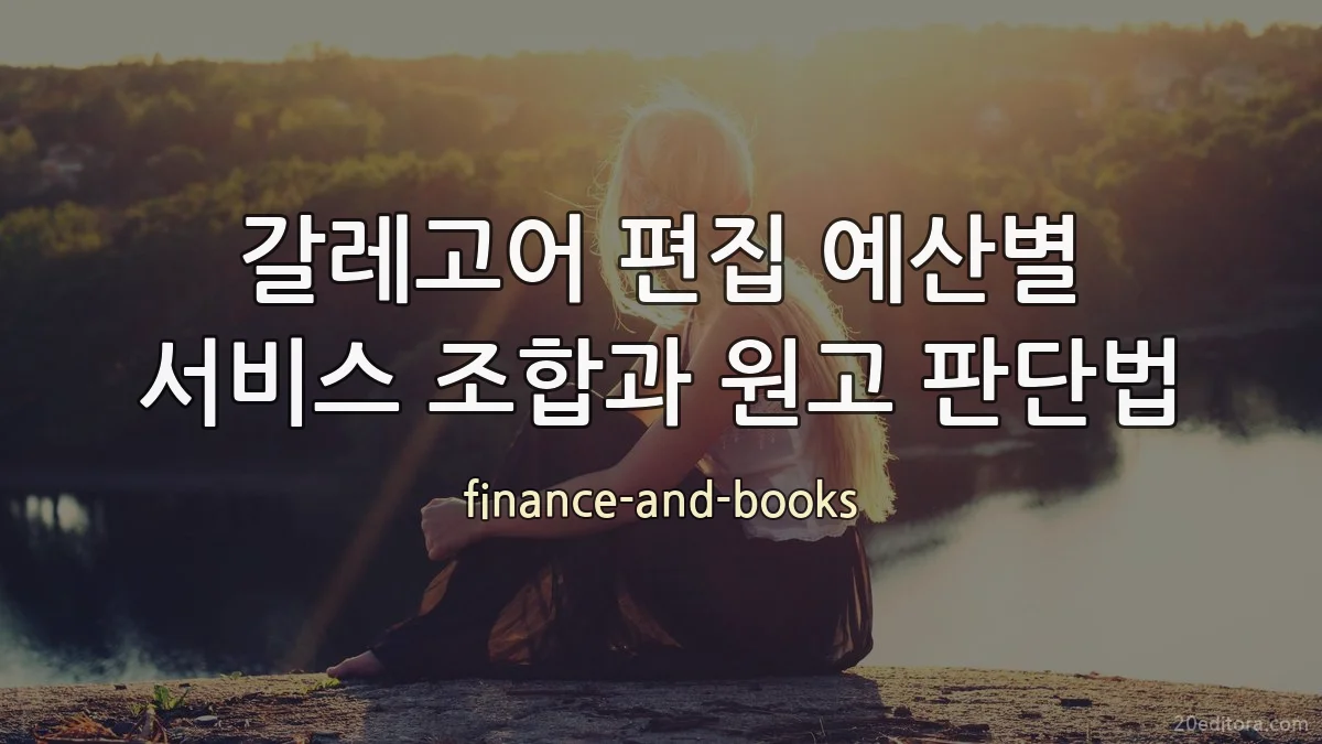 갈레고어 편집 예산별 서비스 조합과 원고 판단법