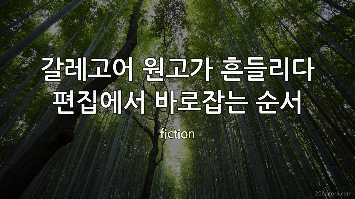 갈레고어 원고가 흔들리다 편집에서 바로잡는 순서