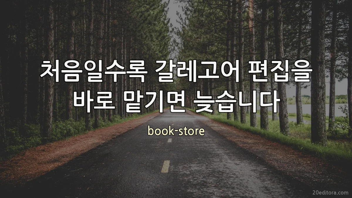 처음일수록 갈레고어 편집을 바로 맡기면 늦습니다