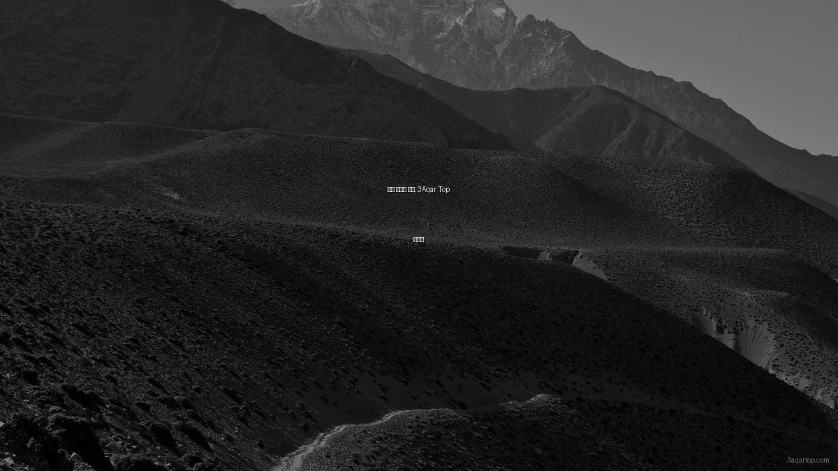 봄철 부동산 구매, 3Aqar Top 활용법