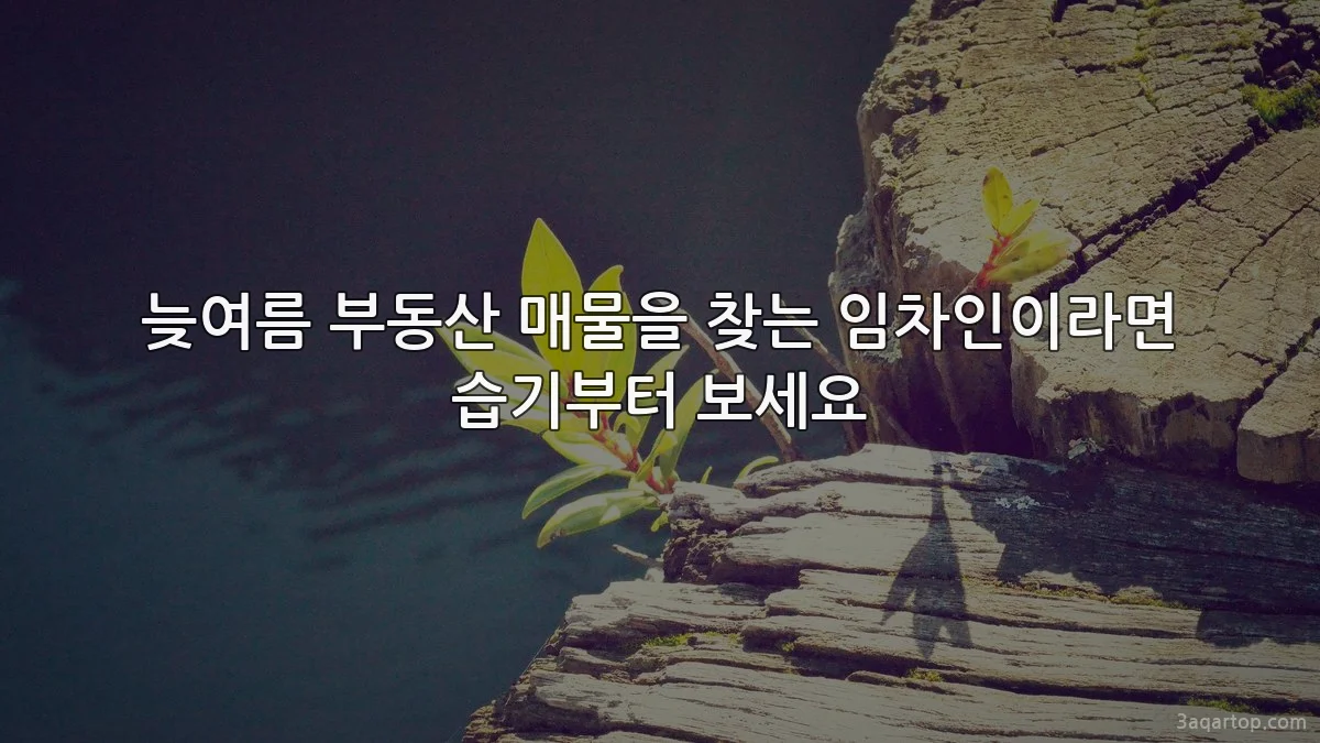 늦여름 부동산 매물을 찾는 임차인이라면 습기부터 보세요