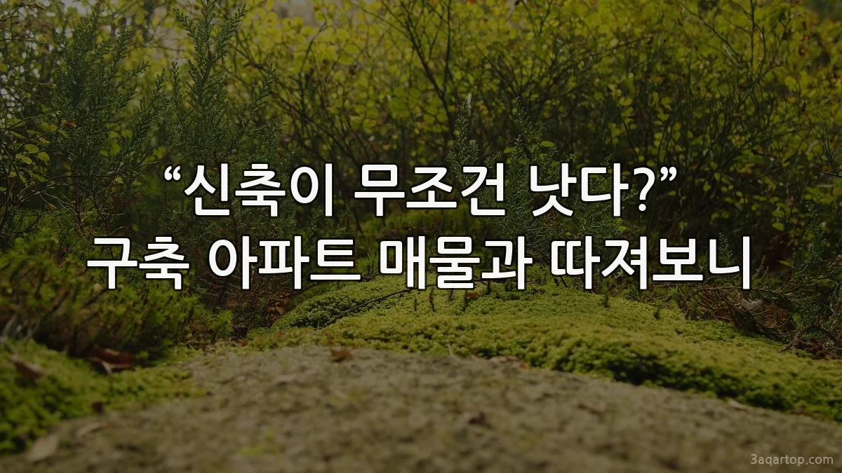 “신축이 무조건 낫다?” 구축 아파트 매물과 따져보니