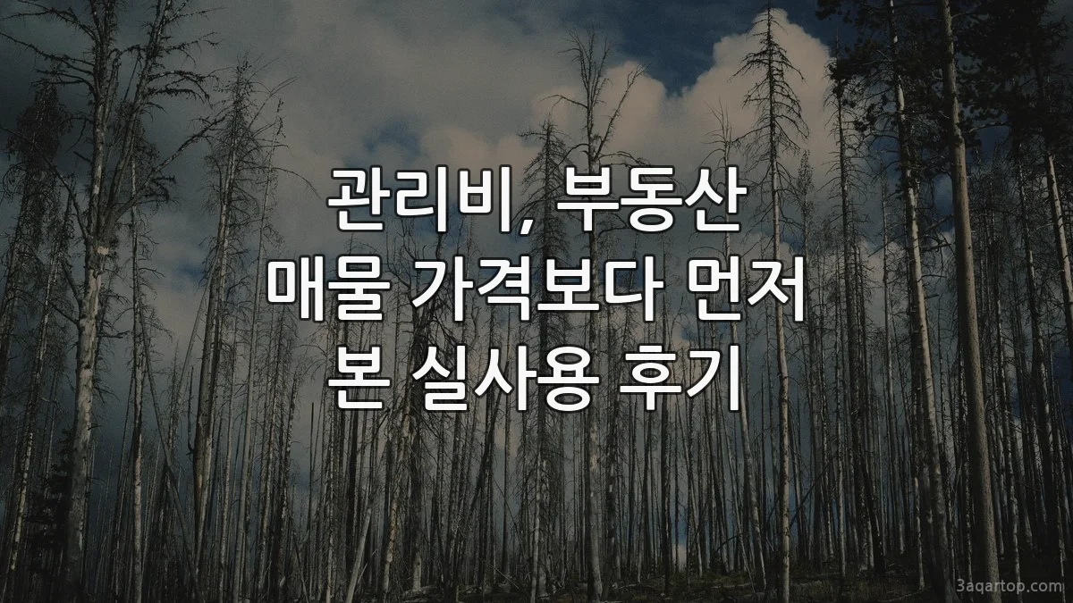 관리비, 부동산 매물 가격보다 먼저 본 실사용 후기