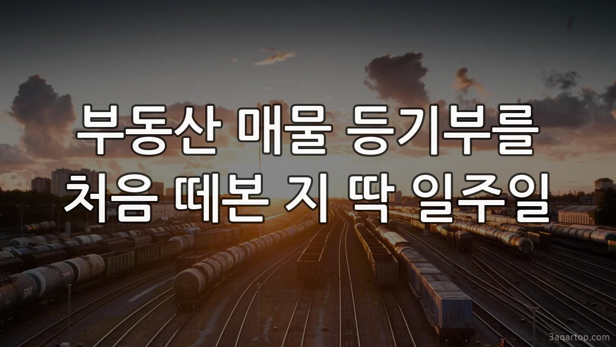 부동산 매물 등기부를 처음 떼본 지 딱 일주일