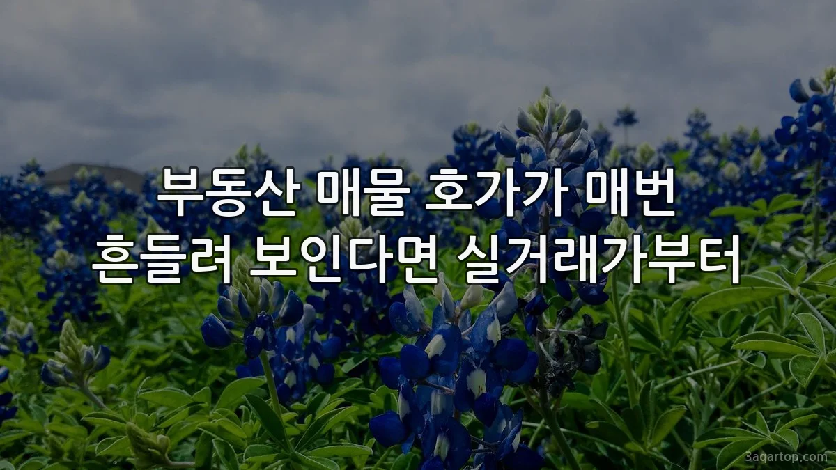 부동산 매물 호가가 매번 흔들려 보인다면 실거래가부터