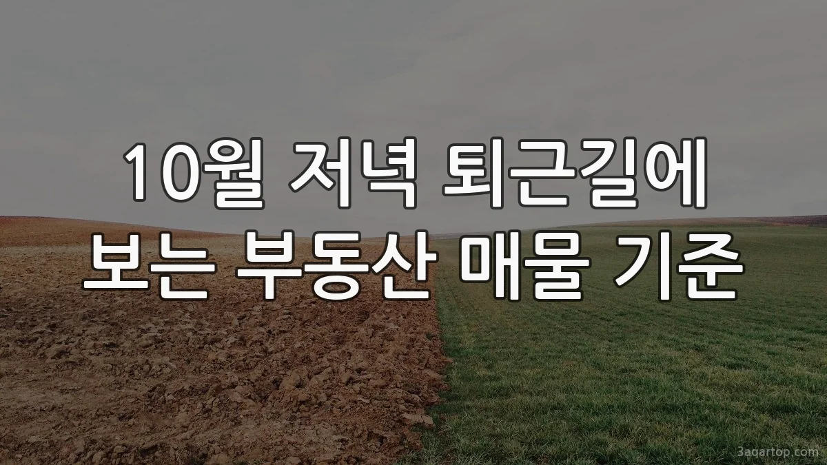 10월 저녁 퇴근길에 보는 부동산 매물 기준