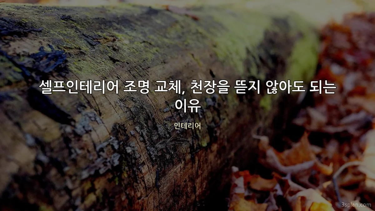 셀프인테리어 조명 교체, 천장을 뜯지 않아도 되는 이유