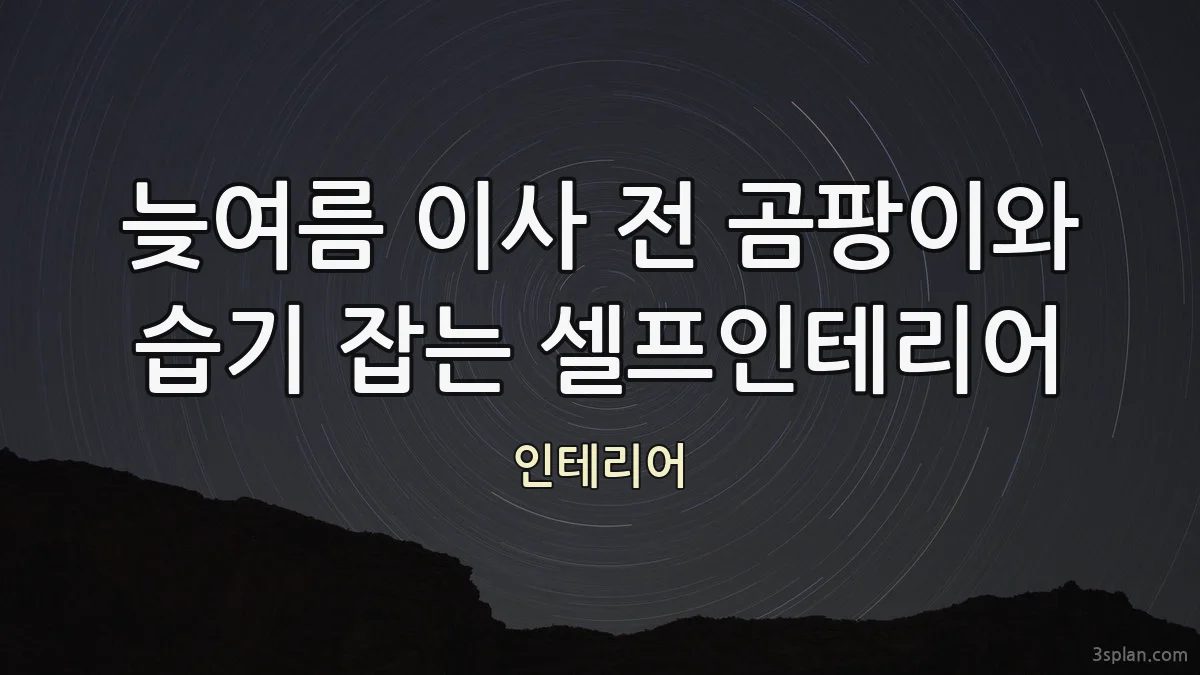 늦여름 이사 전 곰팡이와 습기 잡는 셀프인테리어
