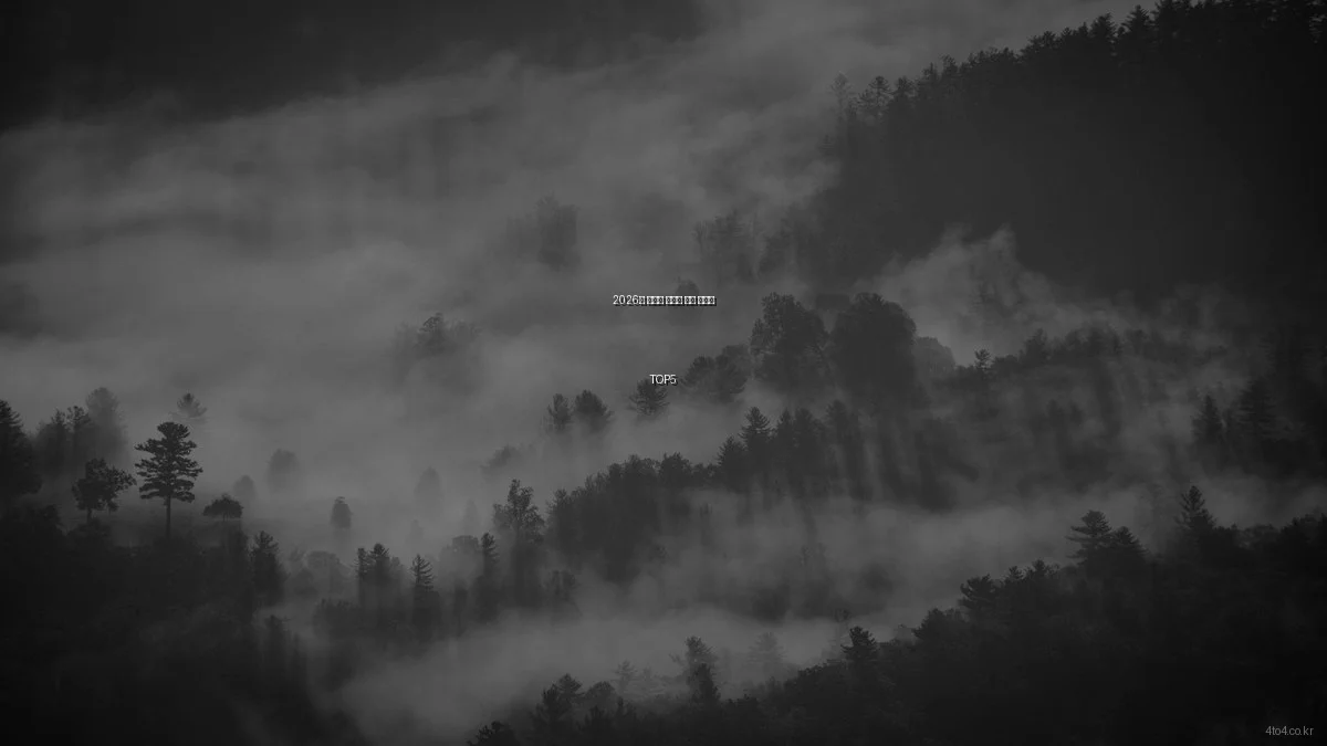 2026년 주목할 온라인 쇼핑 트렌드 TOP5