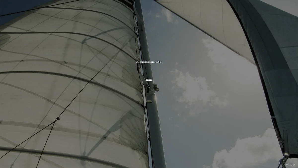 2026년 쿠팡 인기 생활용품 TOP5 비교 분석