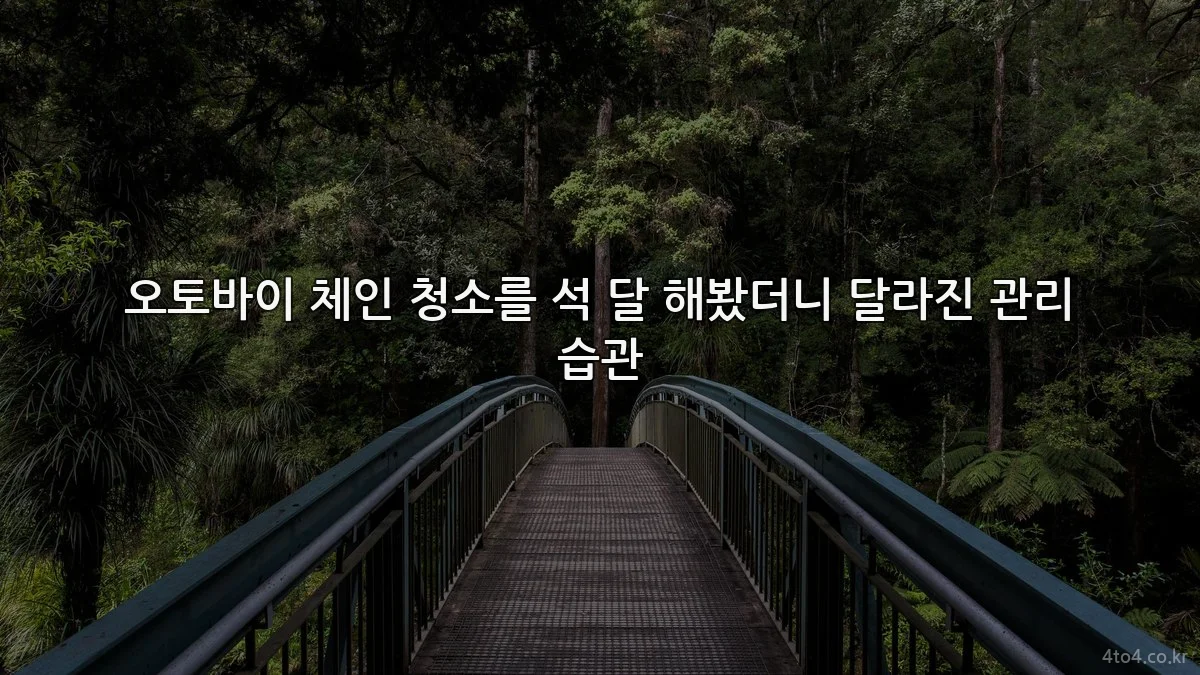 오토바이 체인 청소를 석 달 해봤더니 달라진 관리 습관