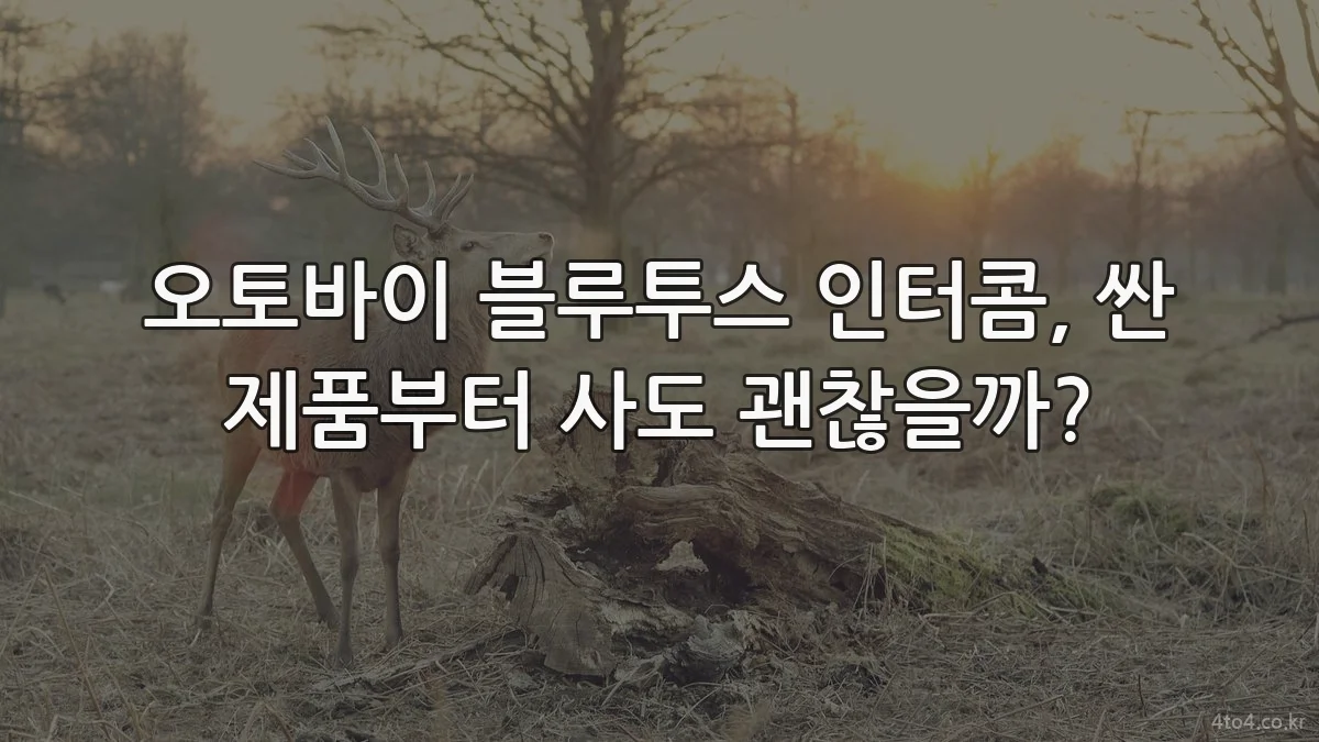 오토바이 블루투스 인터콤, 싼 제품부터 사도 괜찮을까?