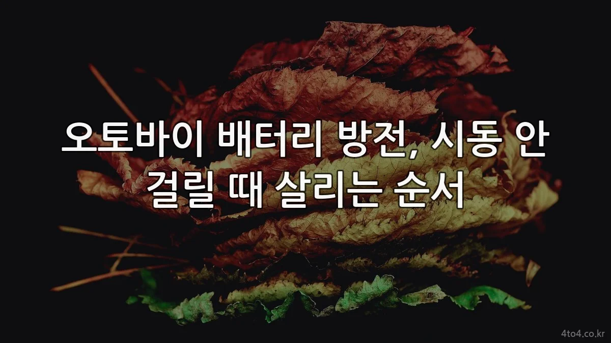 오토바이 배터리 방전, 시동 안 걸릴 때 살리는 순서