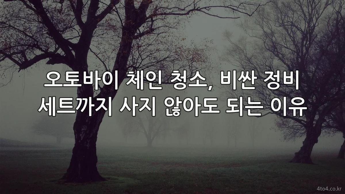 오토바이 체인 청소, 비싼 정비 세트까지 사지 않아도 되는 이유