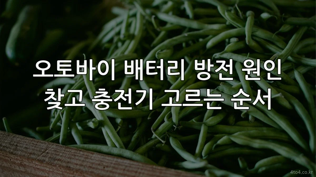 오토바이 배터리 방전 원인 찾고 충전기 고르는 순서