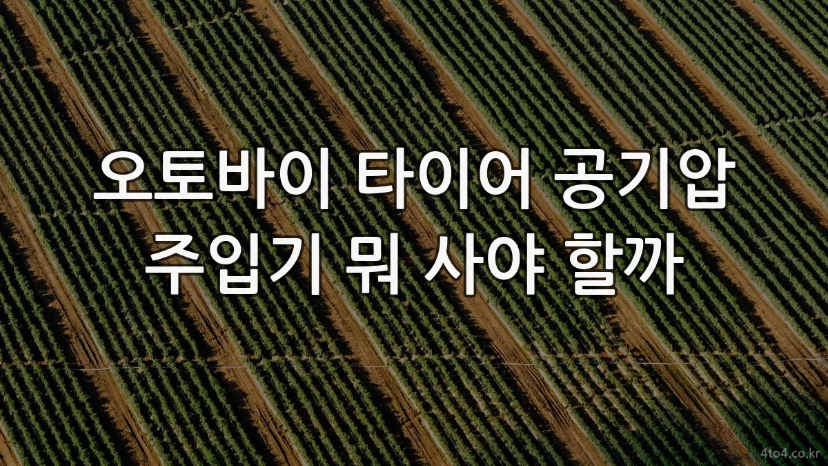 오토바이 타이어 공기압 주입기 뭐 사야 할까