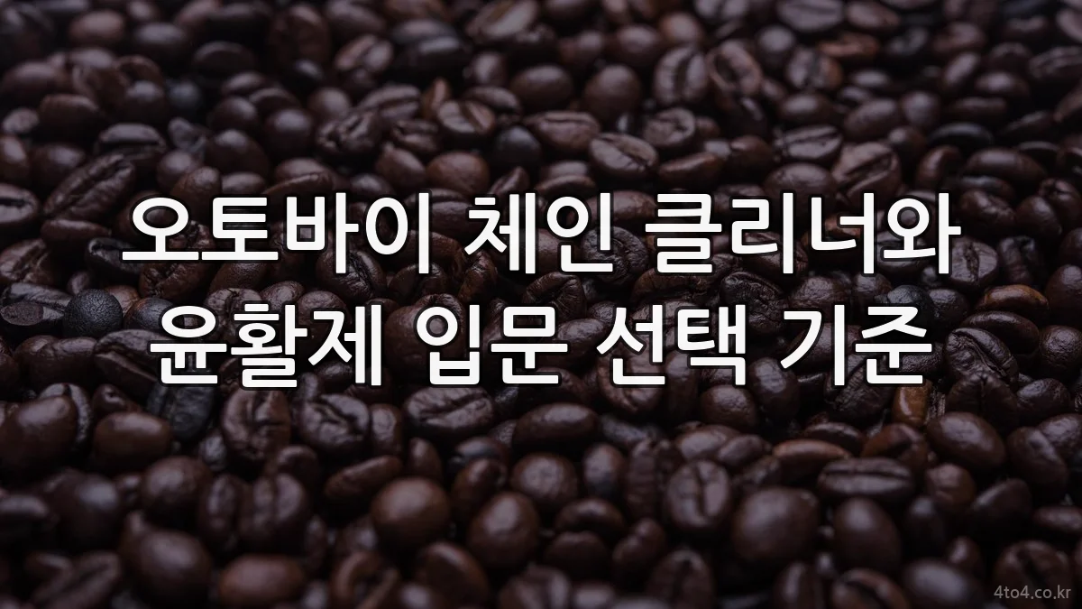 오토바이 체인 클리너와 윤활제 입문 선택 기준
