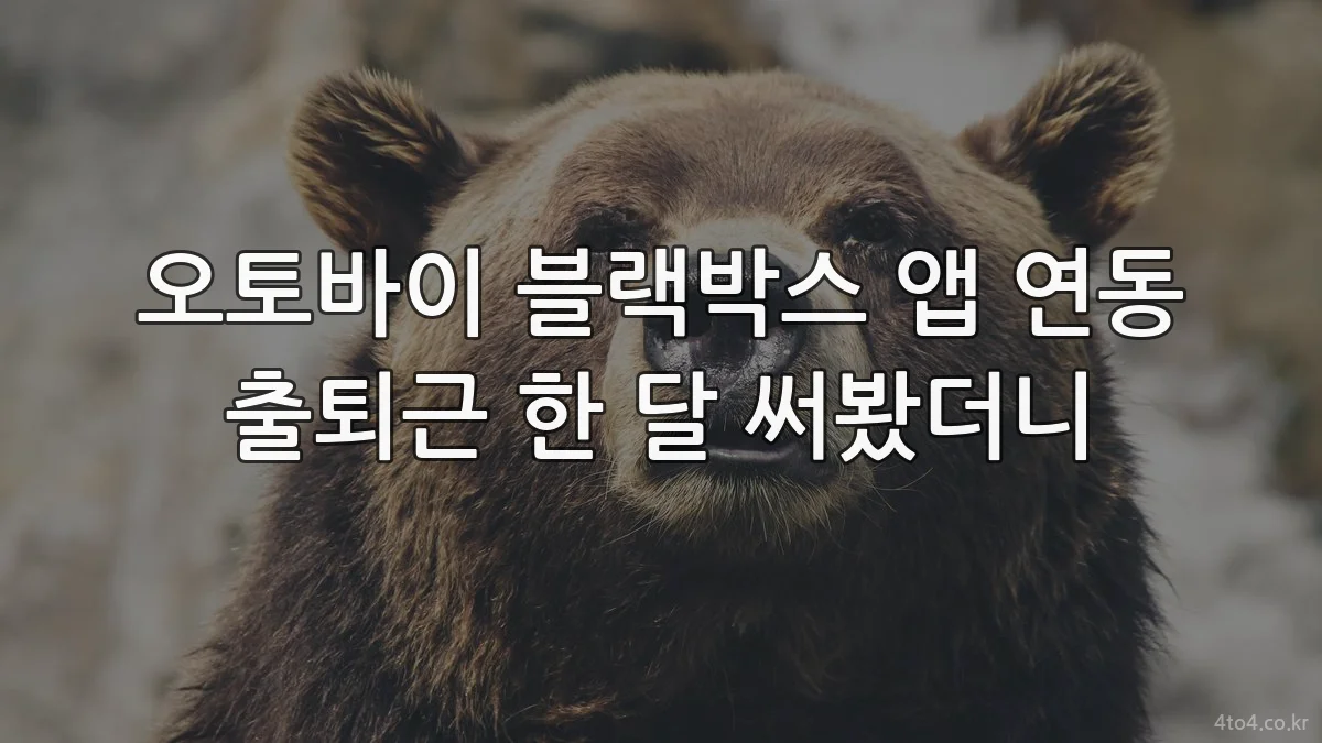 오토바이 블랙박스 앱 연동 출퇴근 한 달 써봤더니